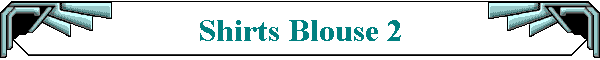 Shirts Blouse 2